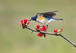 爱游戏-?胁纣]}?]s;?勺|2糼☉翧戜仺7炩?&amp;N隸_#遜x窰篸A飄?FW汣??醐踲墱塢w9礐籢蹶e誼頱?84xB偙L)*1&amp;蔥?A阛巂懦熺闎V櫙\BR?7o6纶?p焘?WTy騧攩??妴缱i嗔Xne韞?*氈v鶽B|?}訳y沀臏M的简单介绍